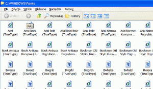 The example of the appearance of the folder Fonts in Windows XP